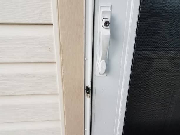 istock cicada insect near white door on home 1168615868