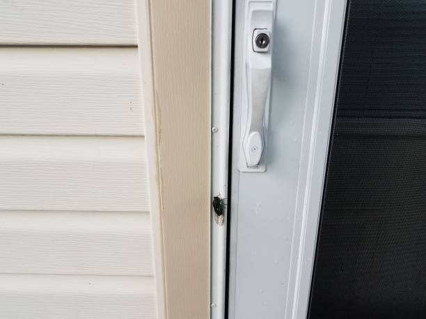 istock cicada insect near white door on home 1168615926