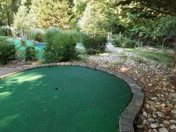 istock hole on miniature golf course with green artificial grass and chipmunk 1168617462