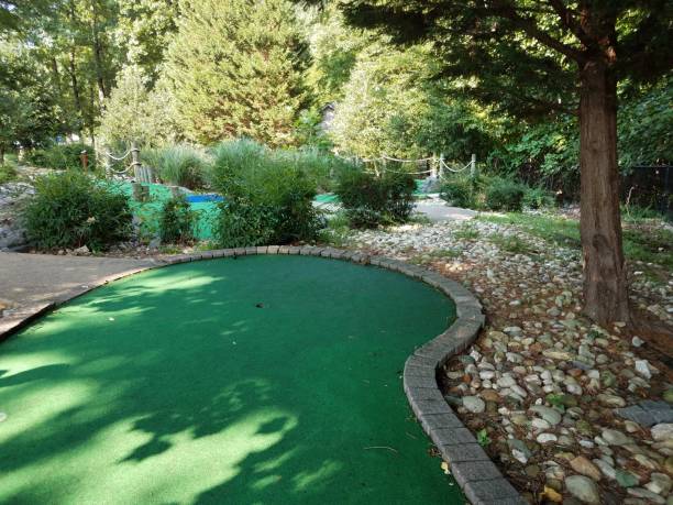 istock hole on miniature golf course with green artificial grass and chipmunk 1168617471