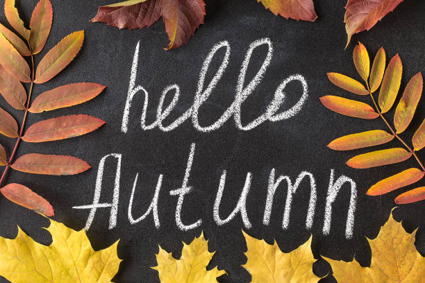 istock Hello Autumn white chalk lettering on blackboard. 1168618711