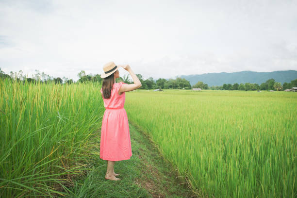 istock Happy girl enjoying in meadow. 1168623010