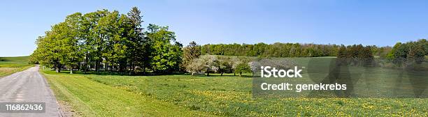 Photo libre de droit de Ferme Dérable Arbres Et Apple Orchard Printemps Panorama banque d'images et plus d'images libres de droit de Pommier