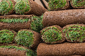Closeup of carpet grass rugs on truck with green and brown pattern in Colorado