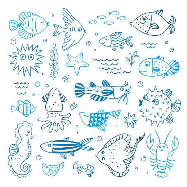 ilustraciones, imágenes clip art, dibujos animados e iconos de stock de ilustraciones vectoriales de animales marinos submarinos. personajes lindos del océano para los niños: peces, algas, langosta, garabatos de contorno azul de estrella de mar - characters coral sea horse fish