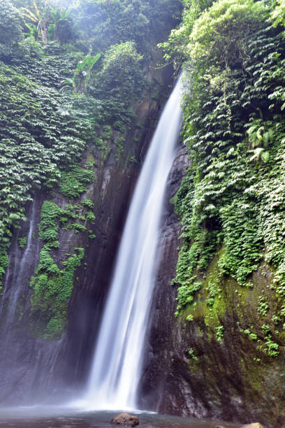 istock Nung Nung waterfall in Bali 1168629251