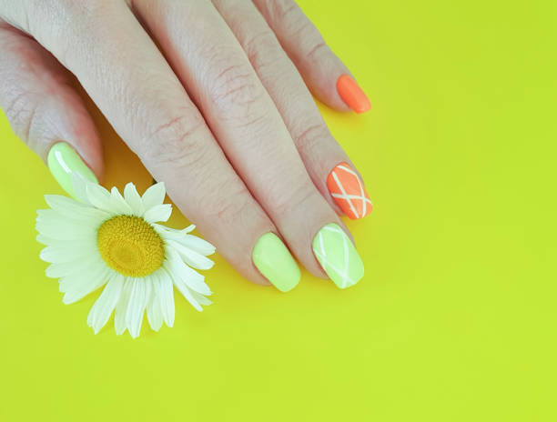 istock female hand manicure daisy flower 1168629817