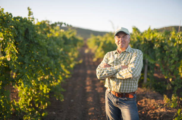 istock Portrait of senior farmer in grape fields. 1168630488