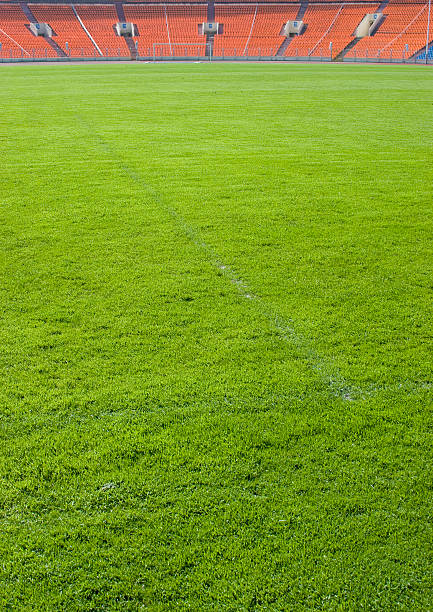istock Footbal field on the stadium 116863170