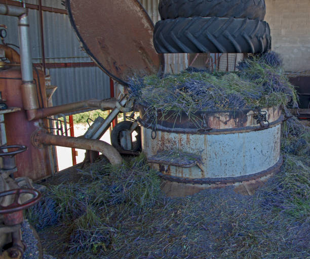 istock Lavender distilleries in Provence 1168632753