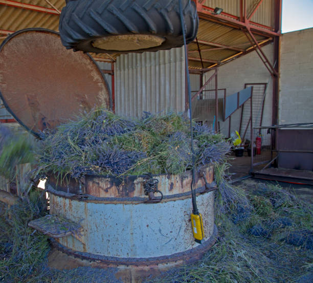 istock Lavender distilleries in Provence 1168632783