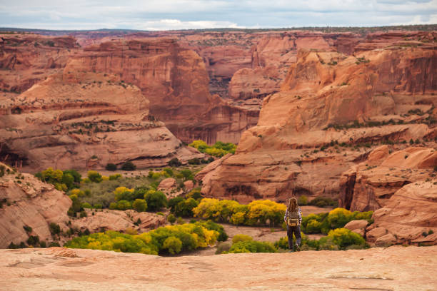 istock A hiker in the Canyon de Chelly National Monument 1168635277