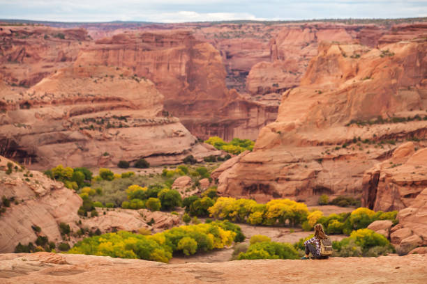 istock A hiker in the Canyon de Chelly National Monument 1168635285