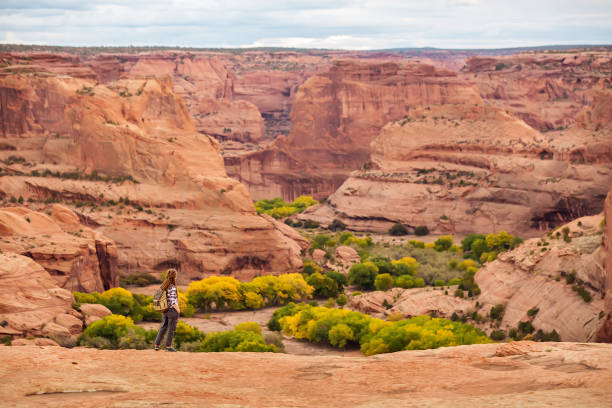 istock A hiker in the Canyon de Chelly National Monument 1168635298