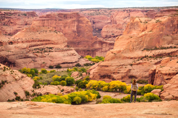 istock A hiker in the Canyon de Chelly National Monument 1168635301
