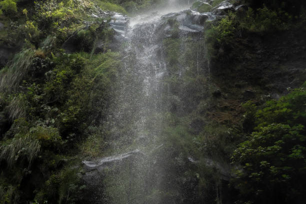Waterfall in Boquete Jungles in Panama