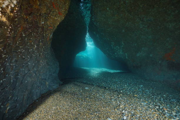 istock Inside a shallow cave underwater Mediterranean sea 1168638209