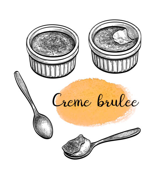 ilustrações, clipart, desenhos animados e ícones de esboço de tinta de crème brulee. - burnt sugar