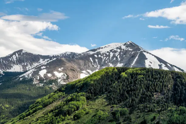 Mount Crested Butte snow mountain during sunset in summer with green lush color on hills and forest