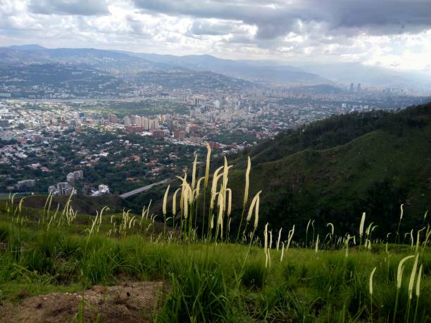 Landscape View of Caracas city from Avila Venezuela avila mountain stock pictures, royalty-free photos & images