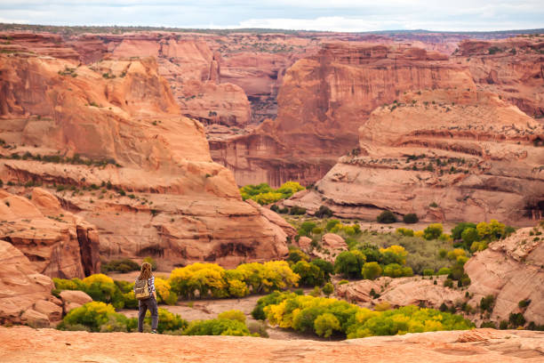 istock A hiker in the Canyon de Chelly National Monument 1168642058