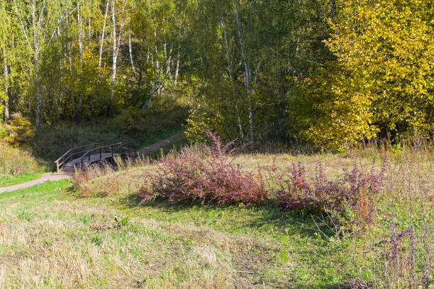 istock Beautiful autumn landscape. 1168642123