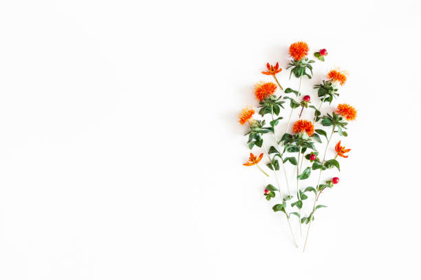 istock Autumn composition. Orange flowers on white background. Autumn, fall concept. Flat lay, top view, copy space 1168643407