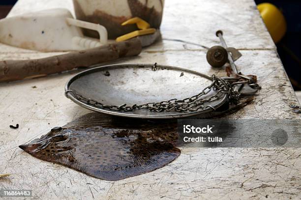 Peixe De Diabo - Fotografias de stock e mais imagens de Ao Ar Livre - Ao Ar Livre, Balança - Instrumento de Pesagem, Comida