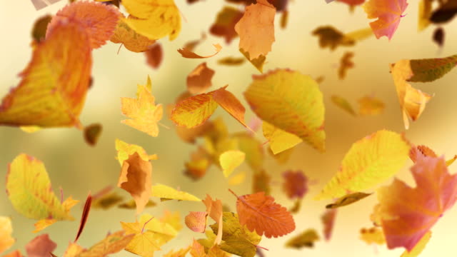 Falling autumn leafs loopable background in 4k