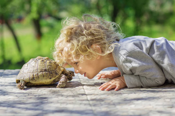 ragazzo adorabile con tartaruga - foto stock