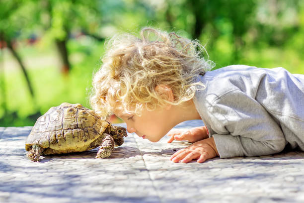 ragazzo adorabile con tartaruga - foto stock