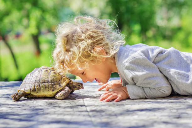 거북이와 사랑스러운 소년 - reptile 뉴스 사진 이미지