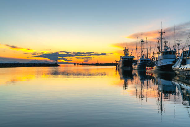 istock Fisherman's Wharf at sunset 1168657414