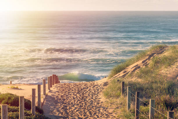 istock Entrance path to the beach with sunshine 1168662282