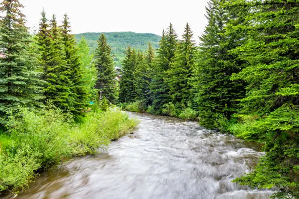 Photo of Vail resort town in Colorado with long exposure of Gore creek river and pine trees