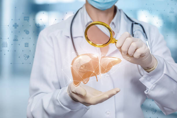 istock The concept study of the liver. 1168665456