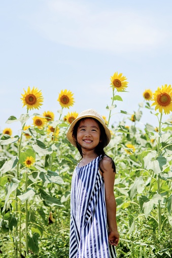 Young girl smiles in the sunflower garden japan
