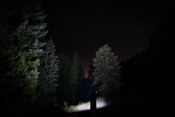 istock Star gazing on a summers night 1168666373