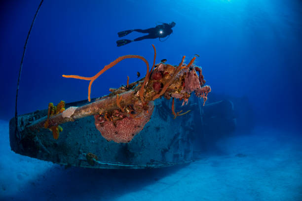 istock MV Captain Keith Tibbetts Shipwreck - Cayman Brac 1168666427