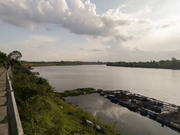 istock Fish farming in cages in the river 1168667237