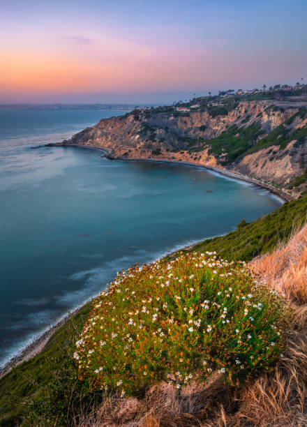 ensenada de bluff - california coastline beach cliff fotografías e imágenes de stock