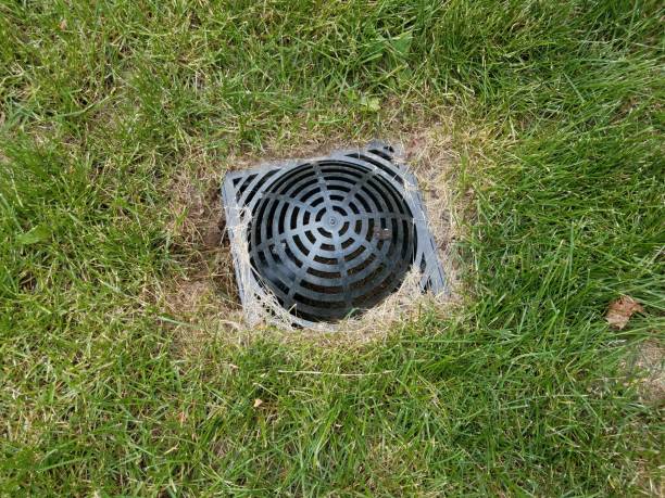istock black plastic drain in green grass or lawn 1168668904