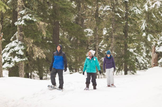 istock Snowshoeing in the forest 1168669050