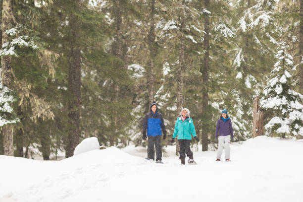 istock Snowshoeing in the forest 1168669055