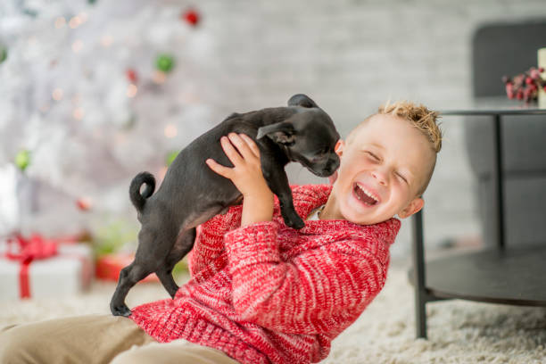 istock Cute boy with puppy 1168671400