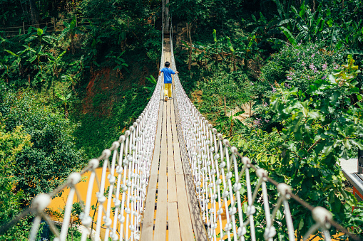 boy playing on bridge in forest of Chiangmai Thailand