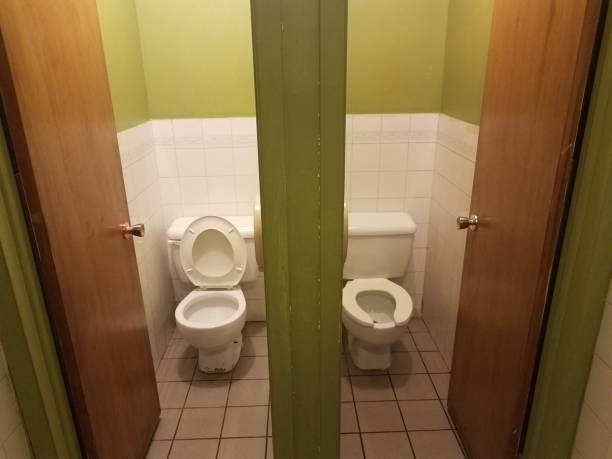 istock two toilets with stalls in green and white bathroom 1168678121