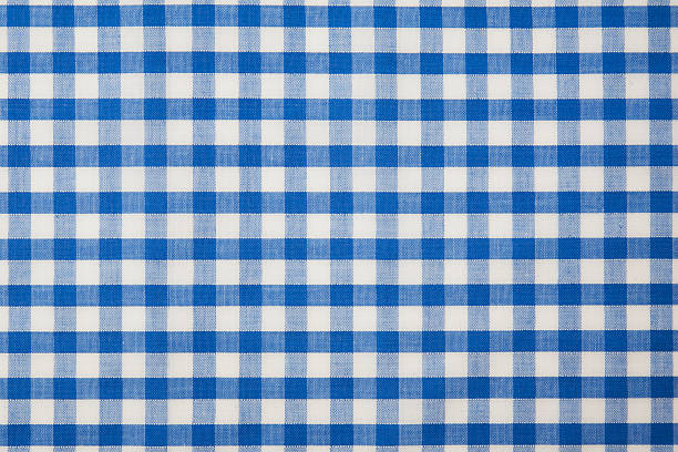 블루 깅엄 체크했습니다 패브릭 - blue gingham 뉴스 사진 이미지