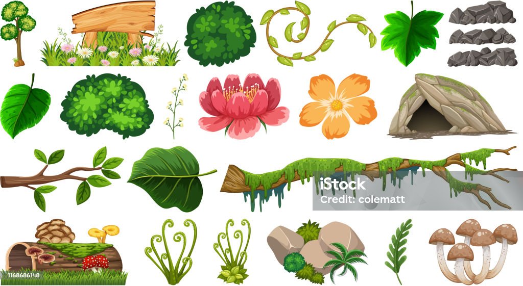Multiple Objects Natural Set Of Different Nature Objects Stock Illustration - Download Image Now ...