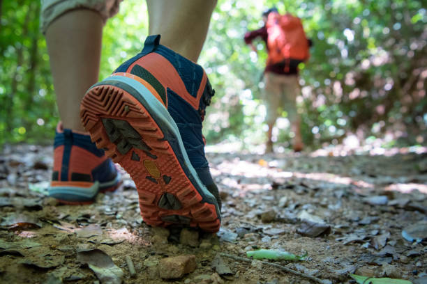 istock Two asian female walking by hiking trail. 1168686998